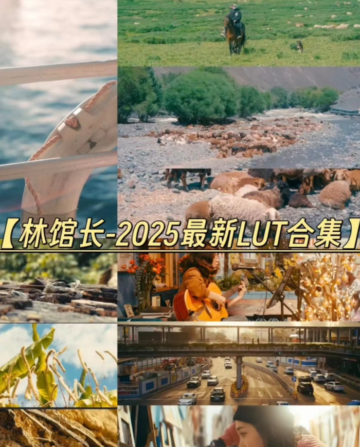 blackmagic cam2025最新版【林馆长】LUT合集包-UfxShare·享趣